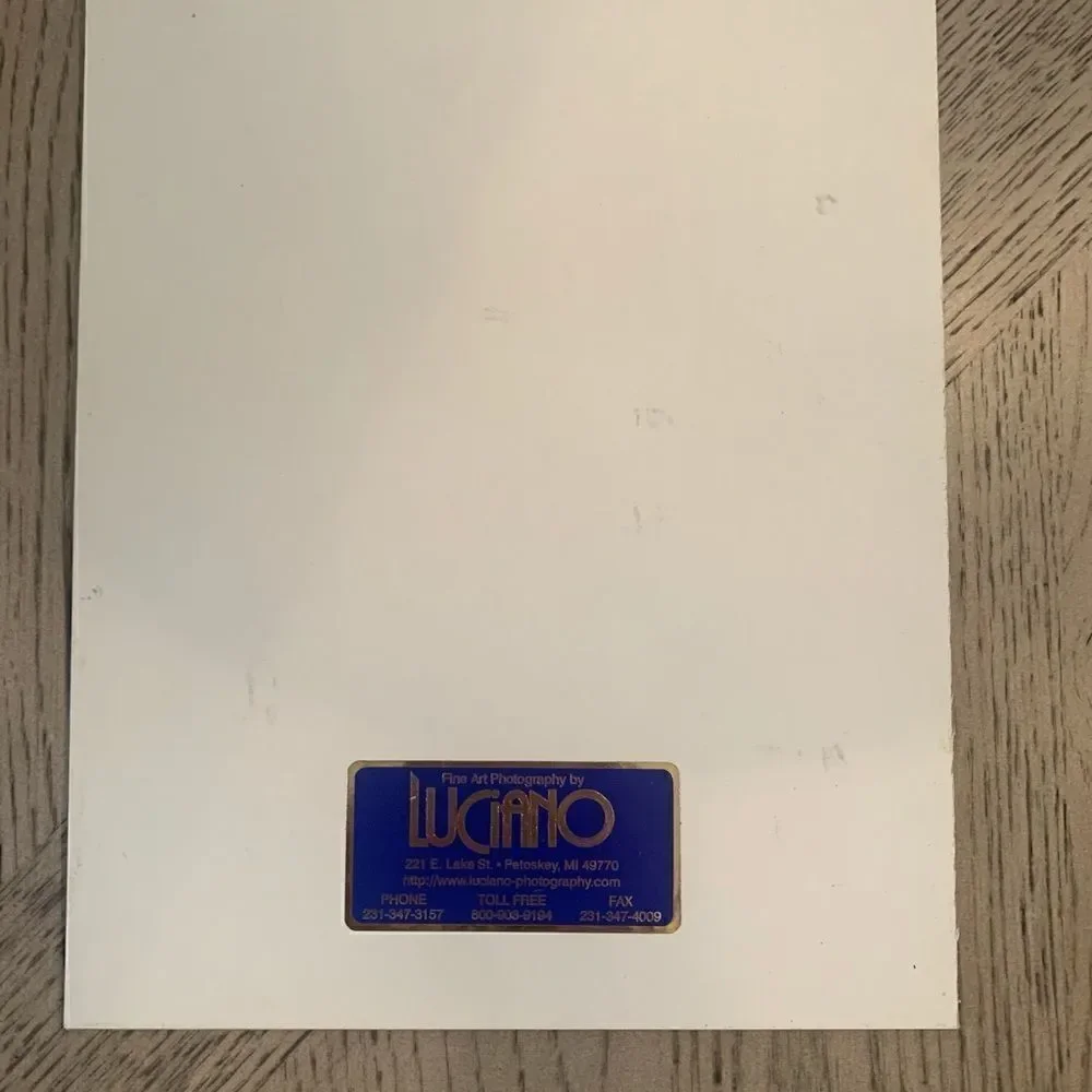 Luciano Morocco Signed Prints Set Lot of 2 Blue‎ Hand Atrium